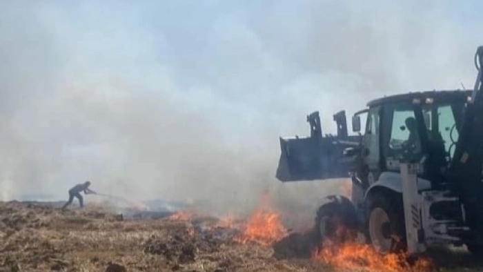 MARMARAEREĞLİSİ TÜRBELER YOLU MEVKİİ'NDE YANGIN ÇIKTI!!!