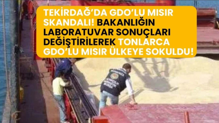 Tekirdağ'da GDO'lu mısır skandalı! Laboratuvar sonuçları değiştirilerek tonlarca GDO'lu mısır ülkeye sokuldu!